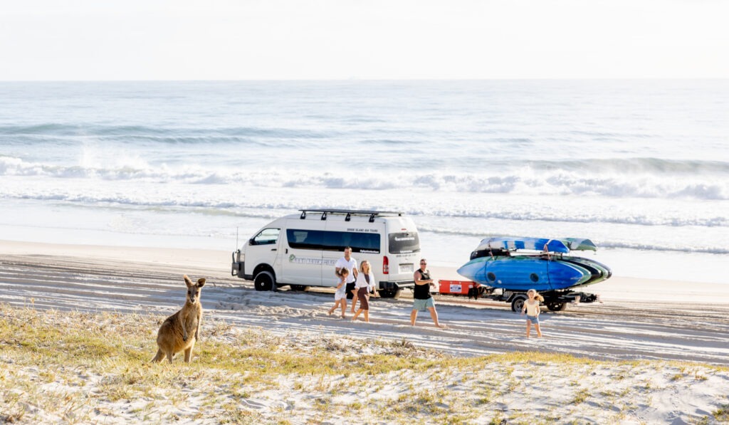 Things to do on Bribie Island — 4WD beach tour, wildlife and tea-tree lagoons near Brisbane