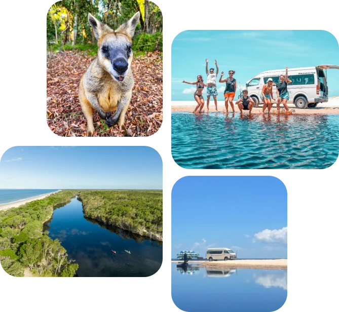 wildlife tours Australia
