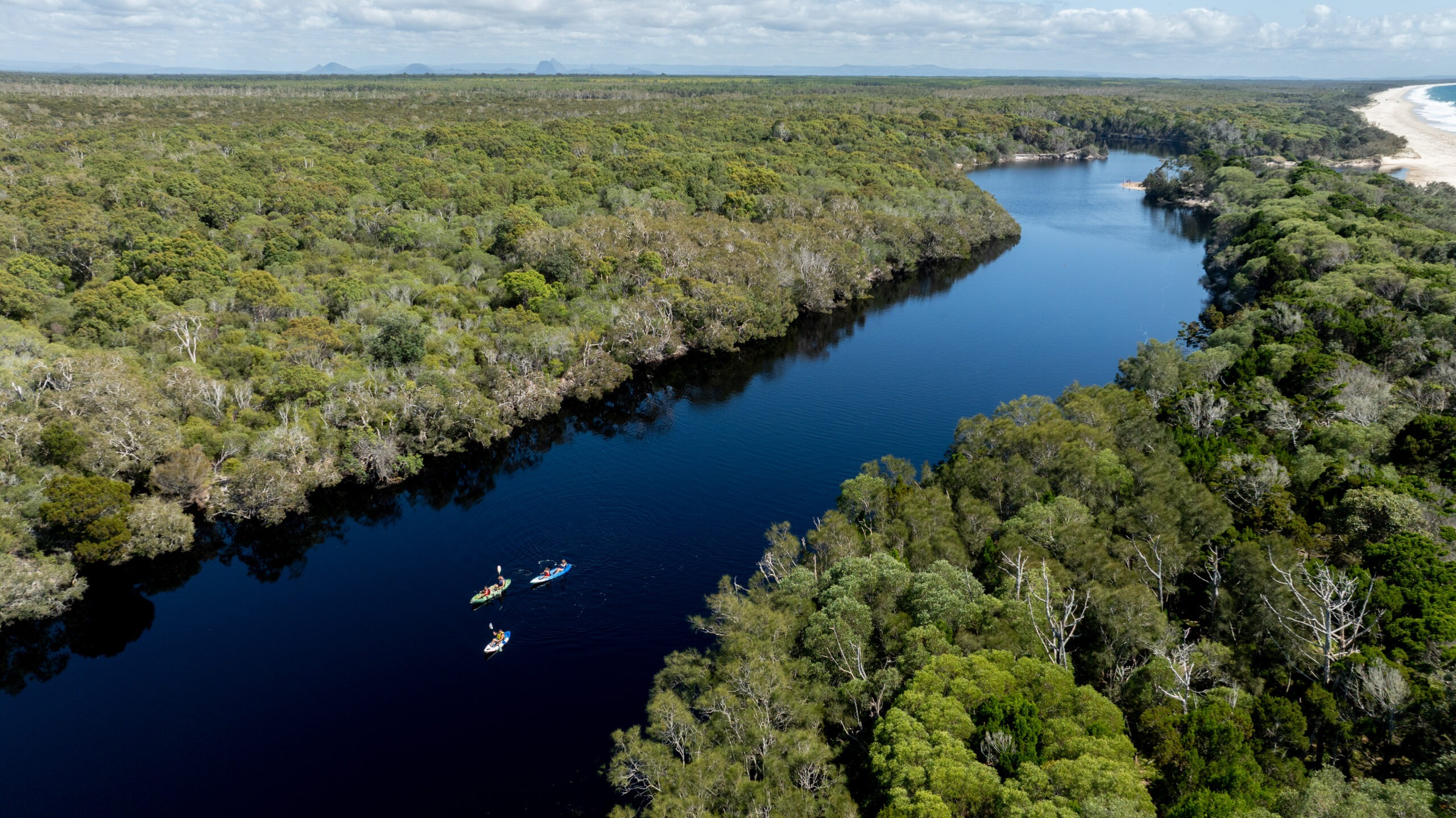 Island Tours From Brisbane: Best 1-Day Adventure Picks